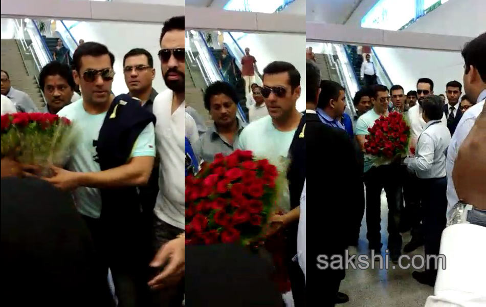 Salman Khan sister wedding noise9