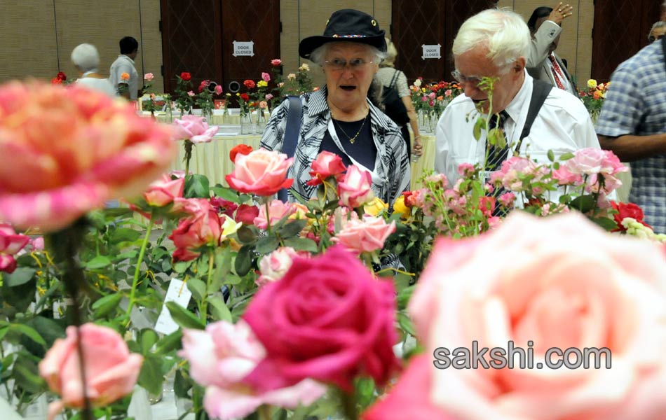 Rose Show in Hyderabad International convention Center4