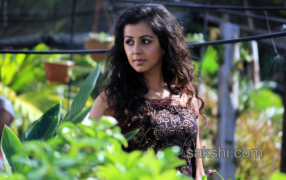 Malupu Movie Stills6