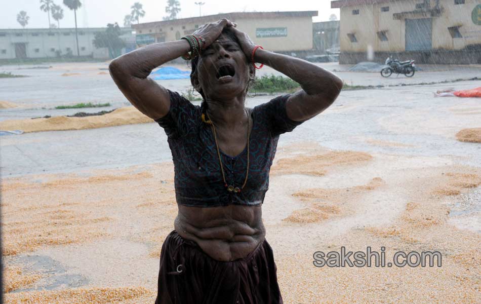 2014 Best Images - Sakshi63
