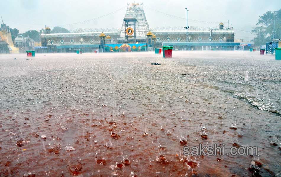 2014 Best Images - Sakshi75