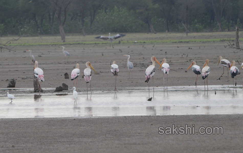 2015 Best images - Sakshi10