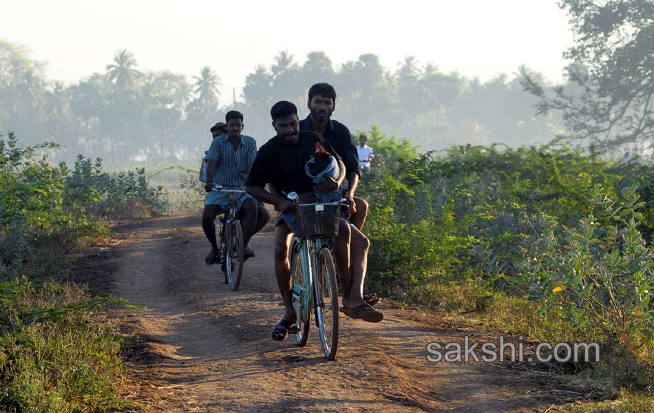 Pandem Kollu Movie Stills2