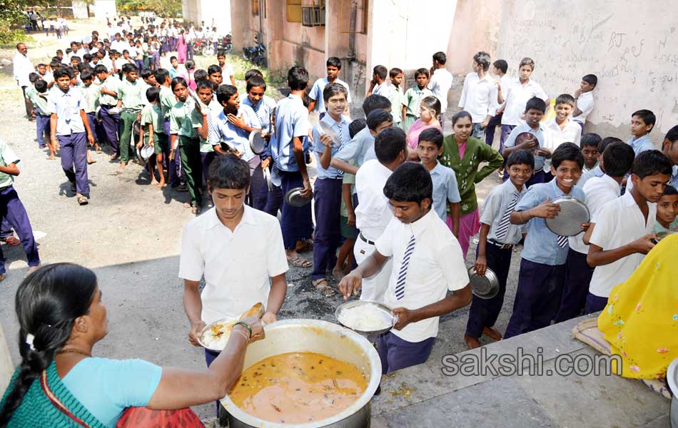 swine menace in kurnool government high school8