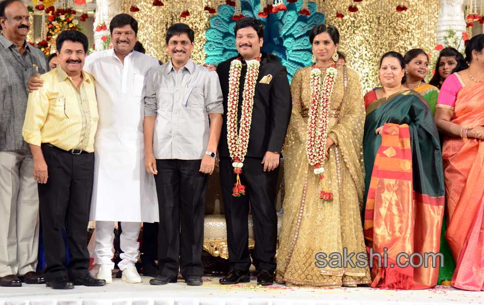 Rajendra Prasad Son Wedding Reception10
