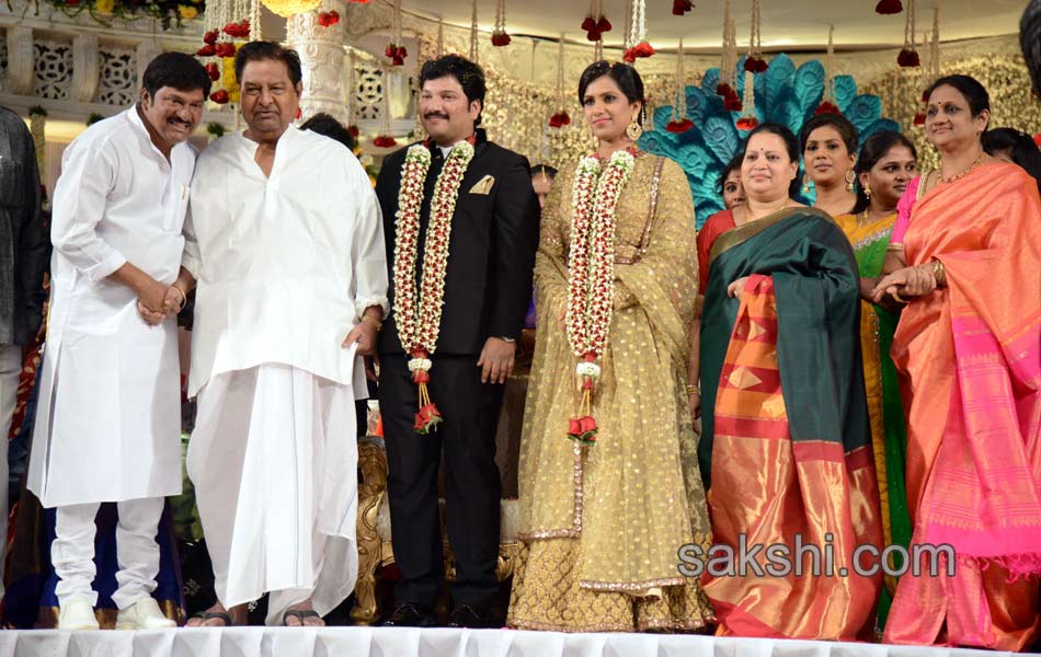 Rajendra Prasad Son Wedding Reception14