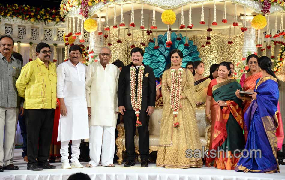 Rajendra Prasad Son Wedding Reception19