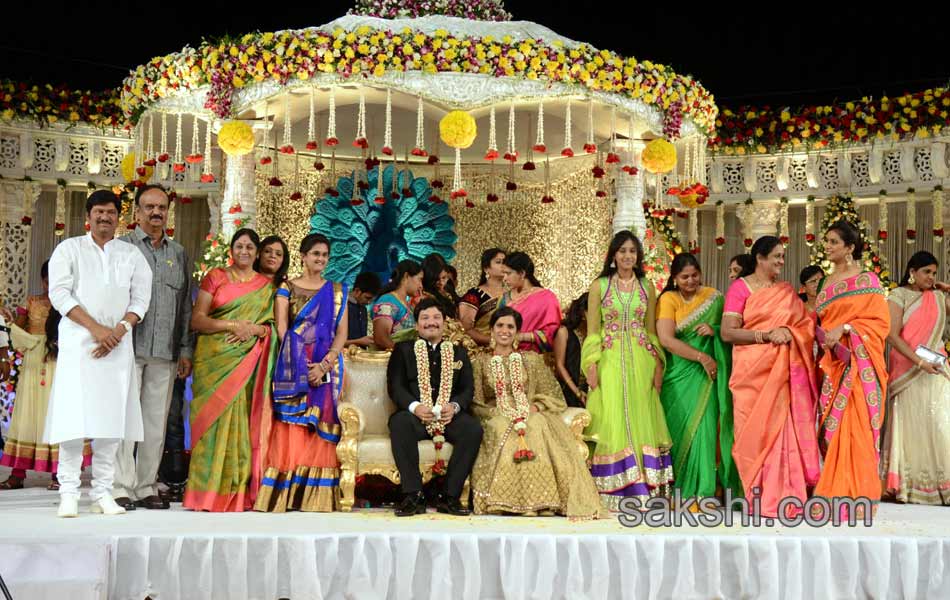 Rajendra Prasad Son Wedding Reception20