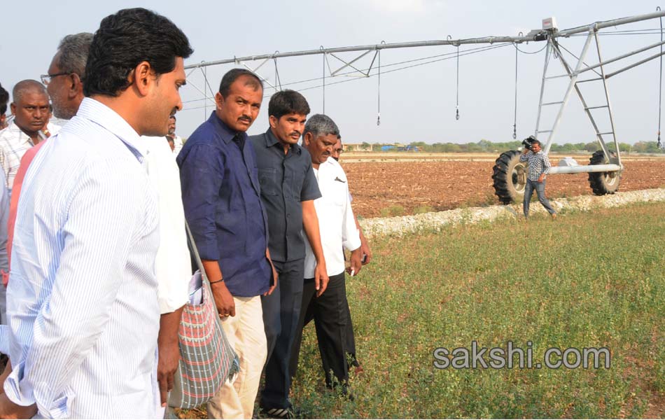 IG Car YS Jagan Mohan Reddy - Sakshi2