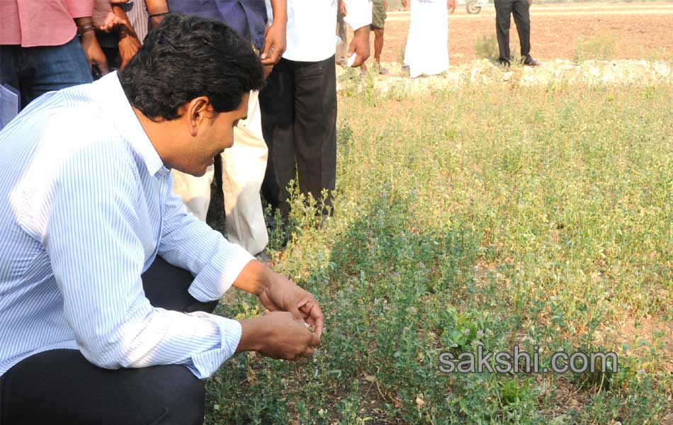 IG Car YS Jagan Mohan Reddy - Sakshi3
