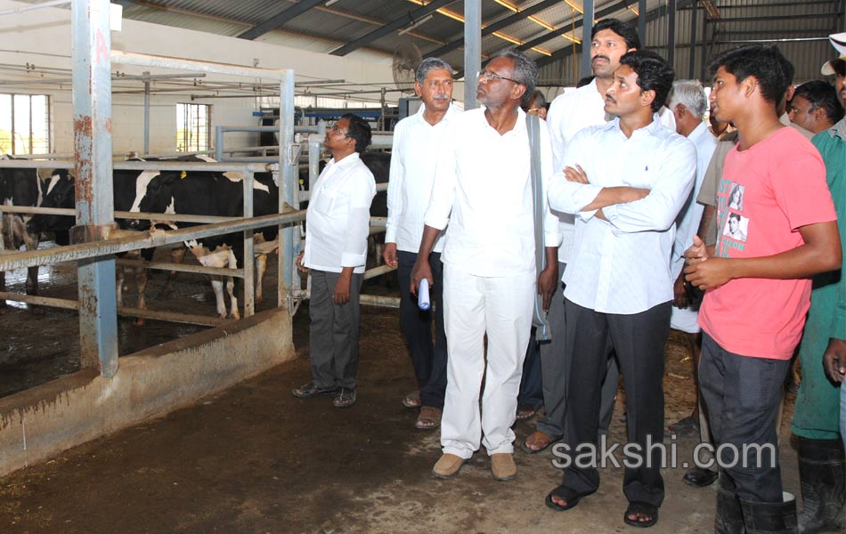IG Car YS Jagan Mohan Reddy - Sakshi15