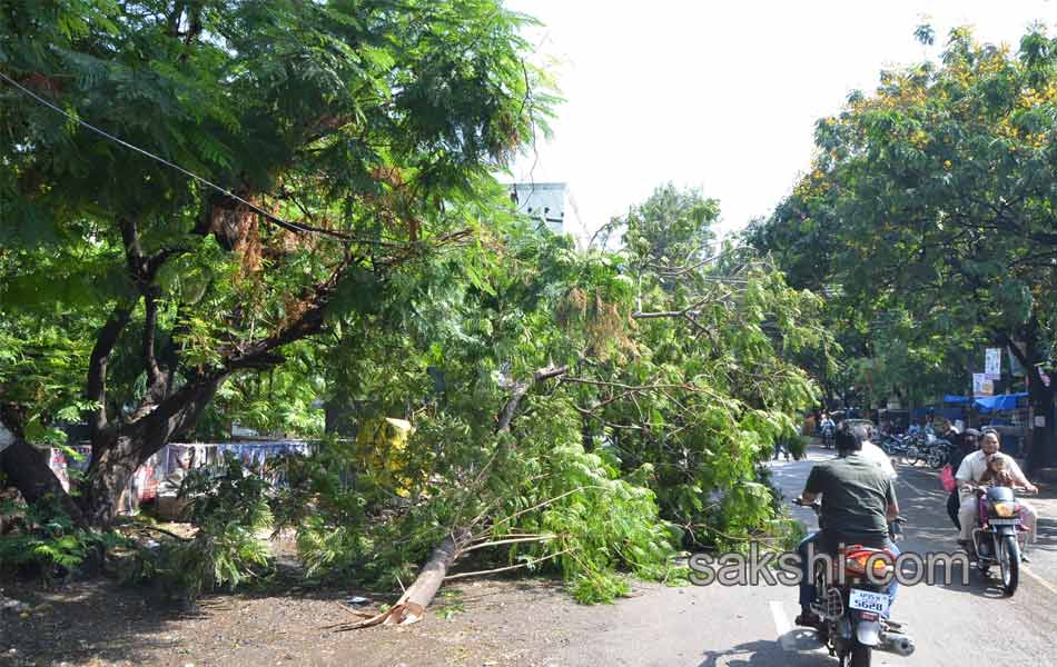 rain in hyderabad - Sakshi17