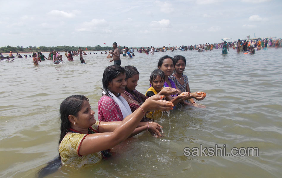 telangana godavari pushkaralu - Sakshi9