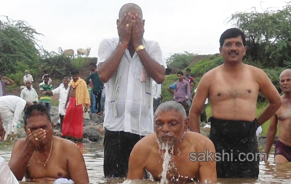 telangana godavari pushkaralu - Sakshi3