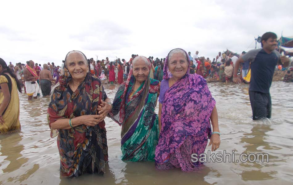 telangana godavari pushkaralu - Sakshi13