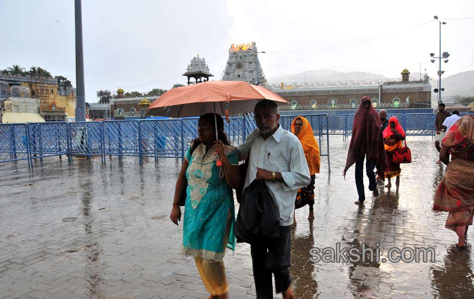 Huge Rains in Thirumala3