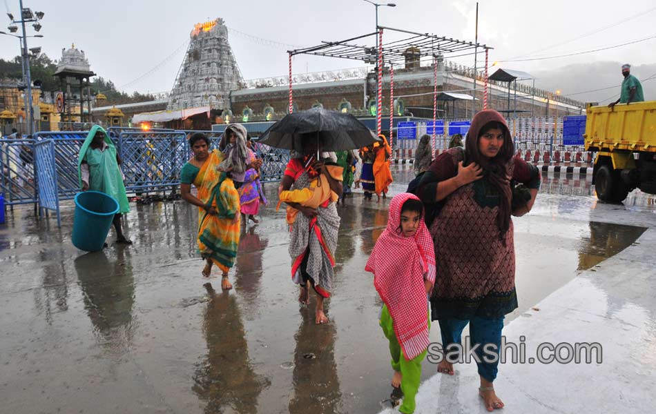 Huge Rains in Thirumala4