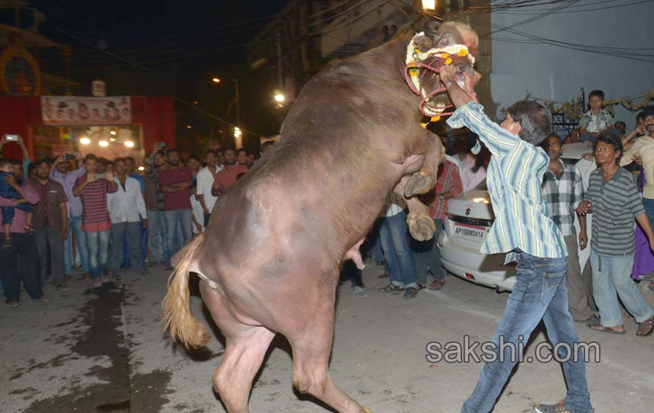 Sadar celebrations10