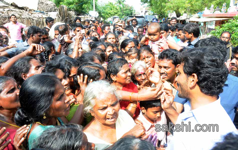 YS jagan tourn in Nellore district - Sakshi19