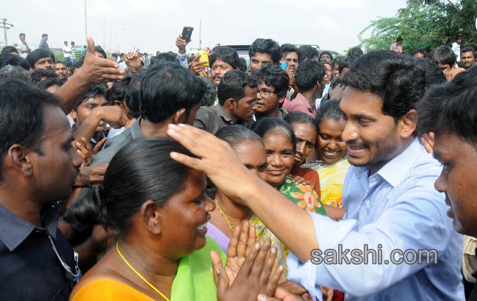 YS jagan tourn in Nellore district - Sakshi25