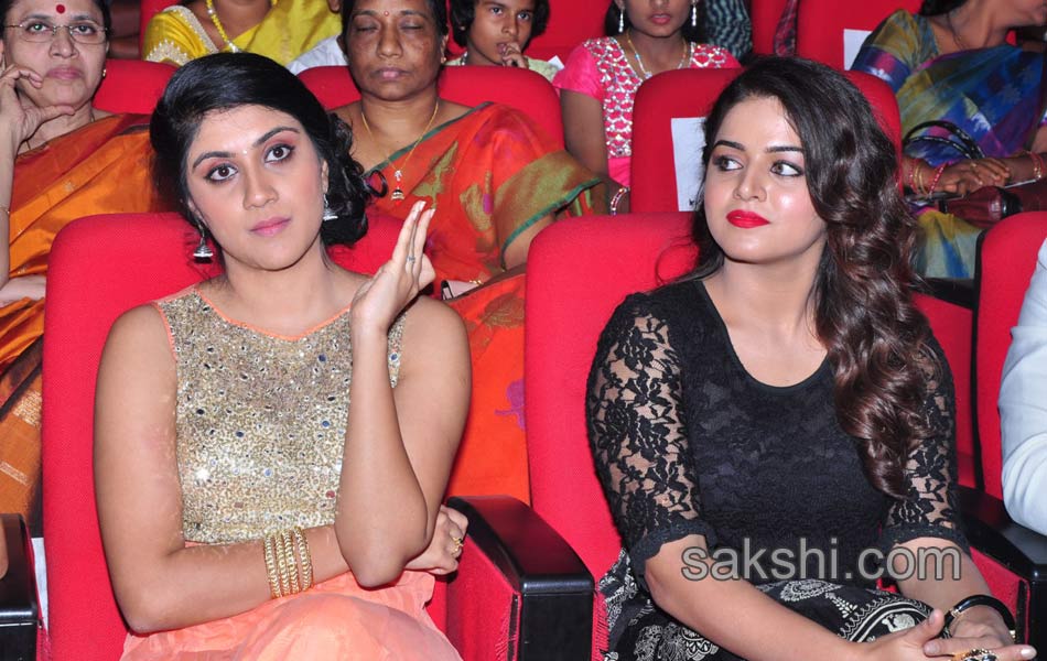 Mahesh babu Sudheer Babu Bhale Manchi Roju10