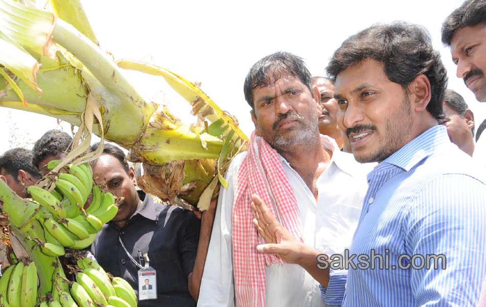 ys jaganmohan reddy tour in pulivendula - Sakshi1