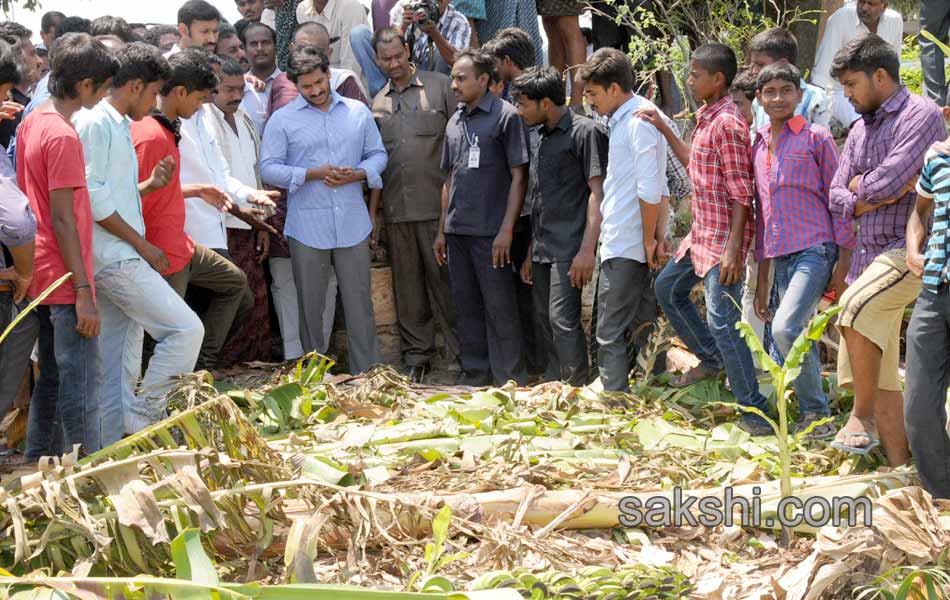 ys jaganmohan reddy tour in pulivendula - Sakshi11