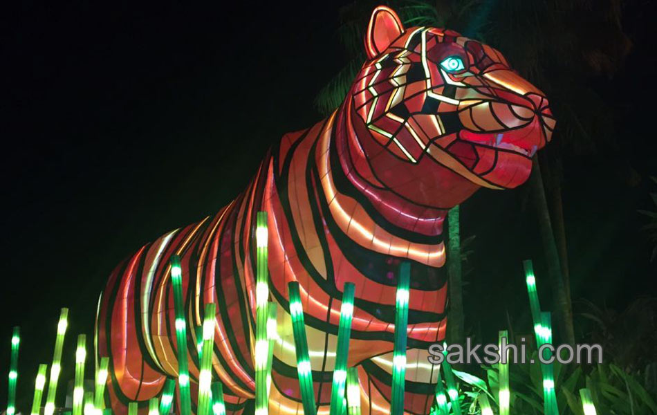 light festival in sydney8