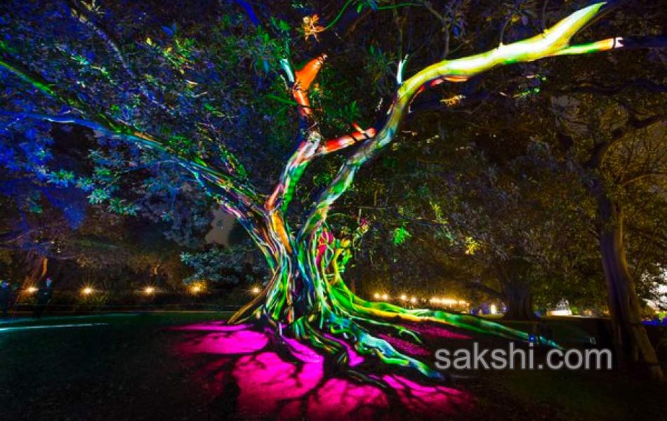 light festival in sydney16