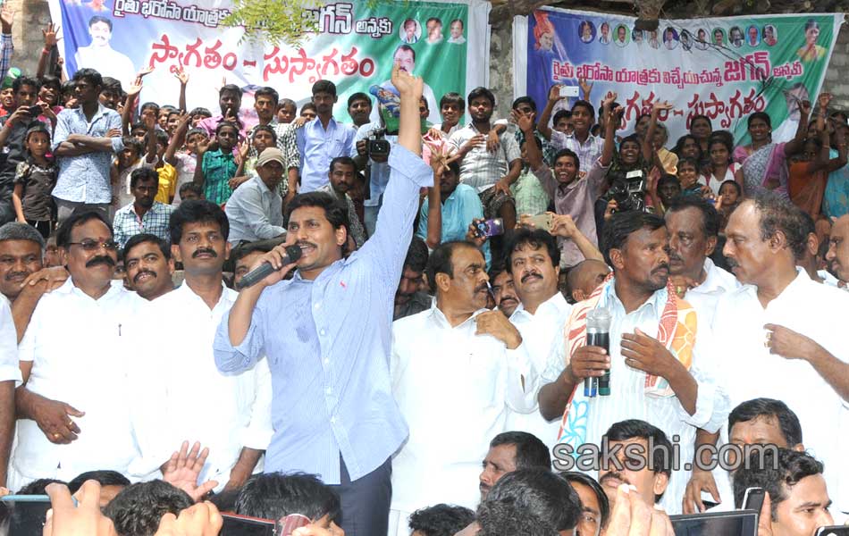 YS Jagan Mohan Reddy raithu barosa yatra in anantapur district - Sakshi3