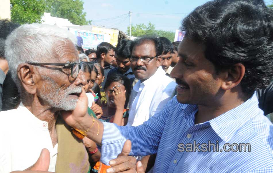 YS Jagan Mohan Reddy raithu barosa yatra in anantapur district - Sakshi25