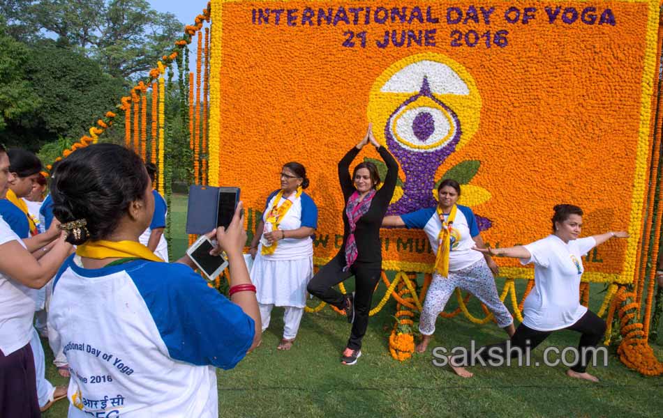 International Yoga Day 2016 - Sakshi20