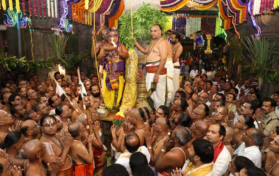 lord vekkanna on pedda seshava vahanam3