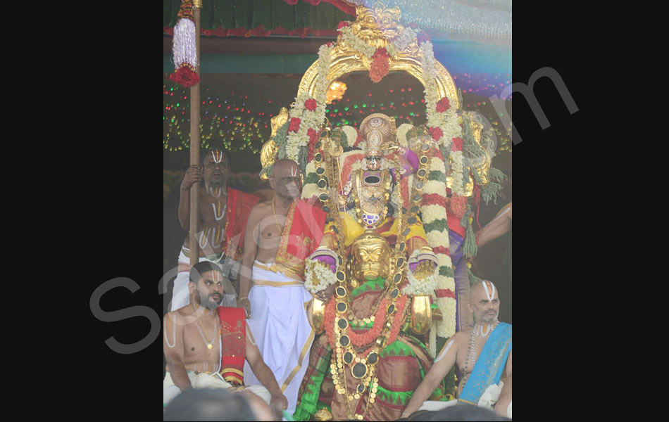 Hanumanthu Vahana brahmotsavam7