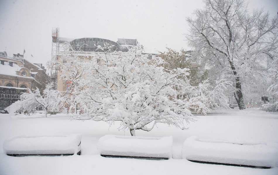 snow storm hits sweden7