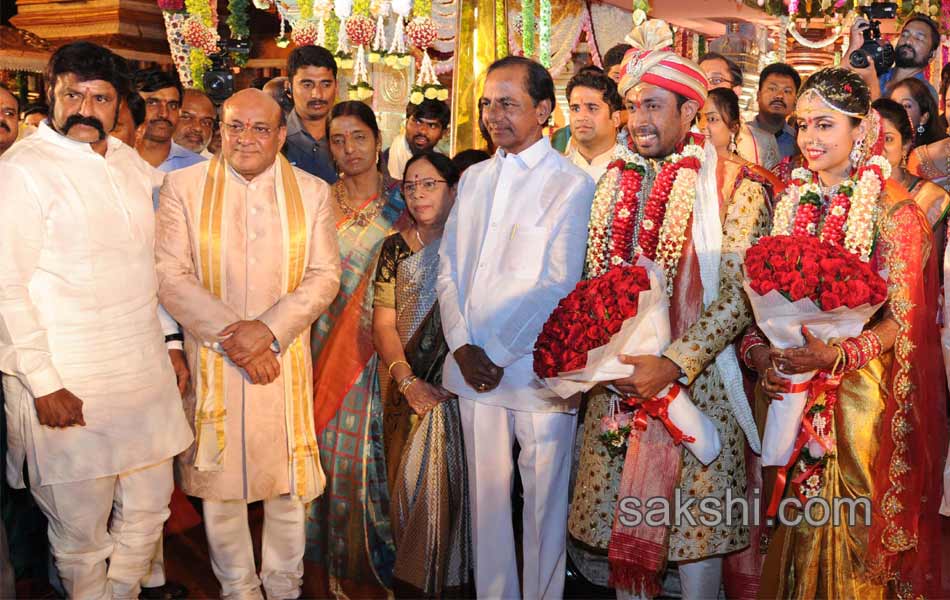 They cheered the wedding ceremony - Sakshi5