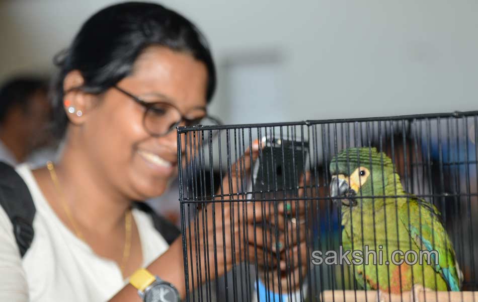 Dog Shows in Hyderabad City - Sakshi1