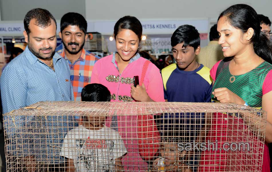 Dog Shows in Hyderabad City - Sakshi21