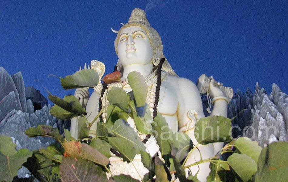 mahashivratri in ap - Sakshi31