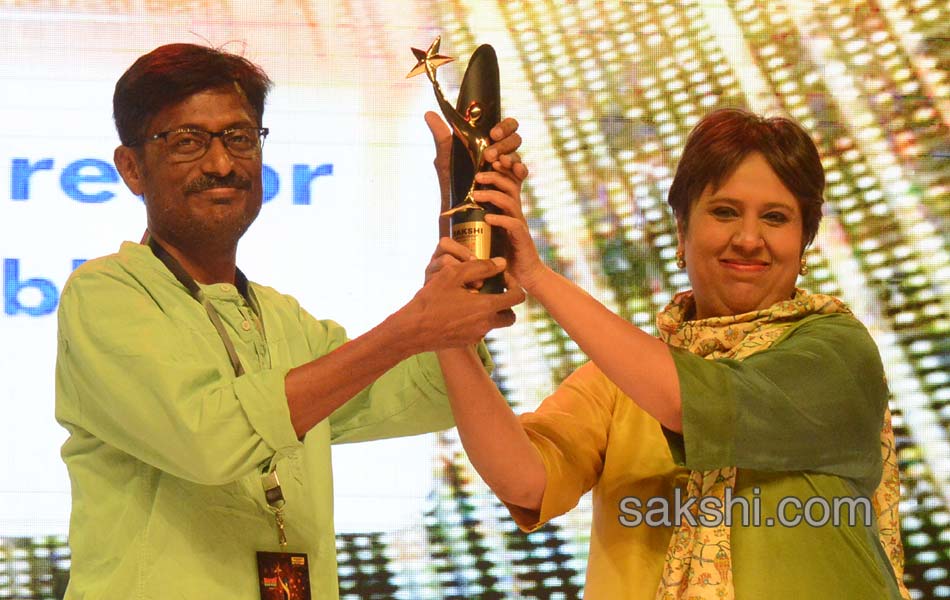 Sakshi Excellence Awards Ceremony 201727