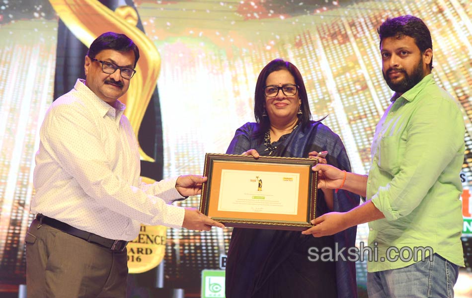 Sakshi Excellence Awards Ceremony 201732