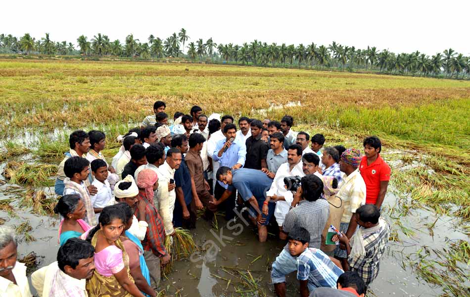 YS Jagan mohan reddy to visit Cyclone Victims in Godavari Districts - Sakshi7