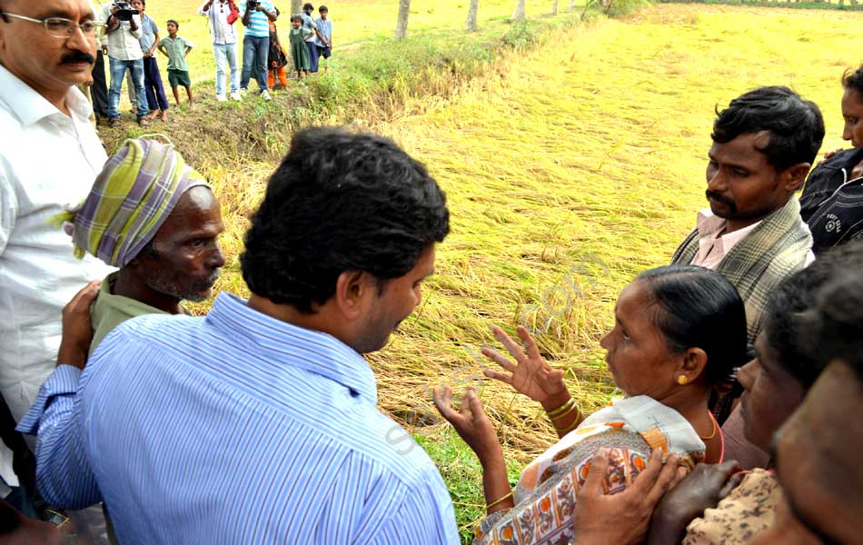 YS Jagan mohan reddy to visit Cyclone Victims in Godavari Districts - Sakshi8