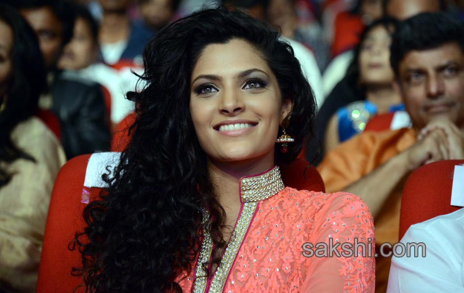 Rey Audio Launch - Sakshi25