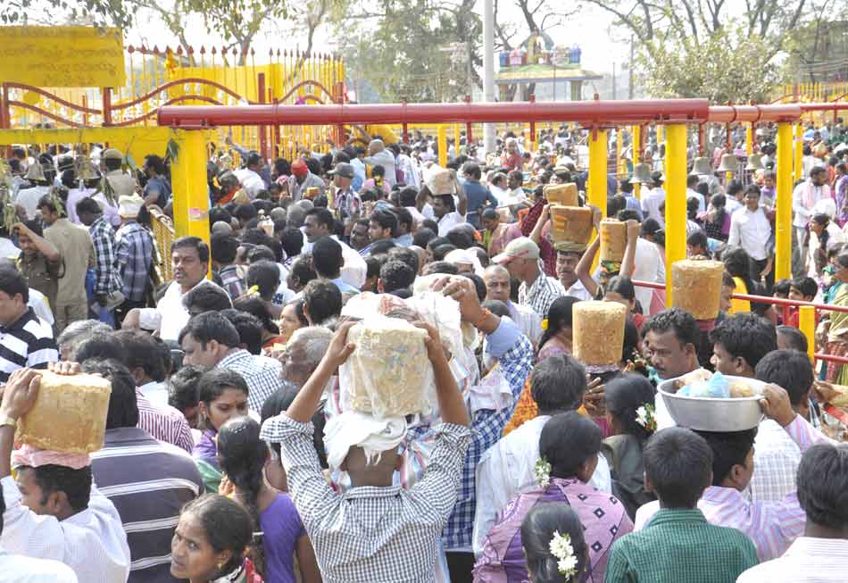 sammakka saralamma jathara - Sakshi16