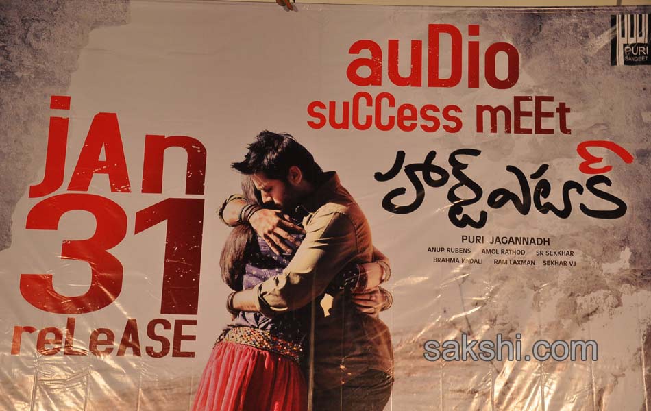 Heart Attack audio success meet - Sakshi3
