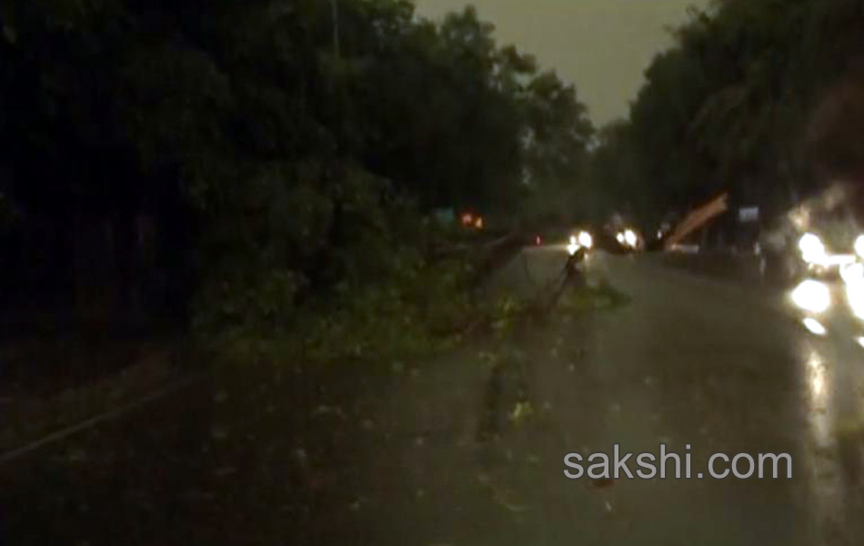 Sand storm in Delhi - Sakshi6