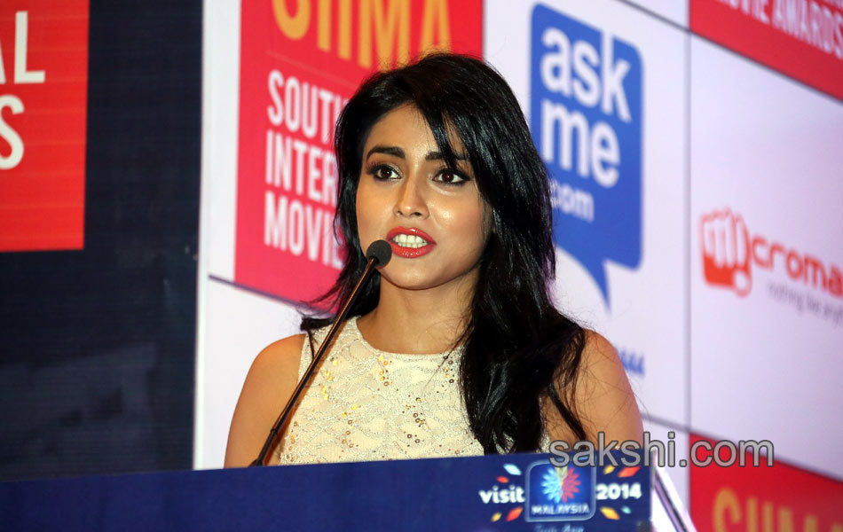 SIIMA Awards Curtain Raiser Press Meet - Sakshi2