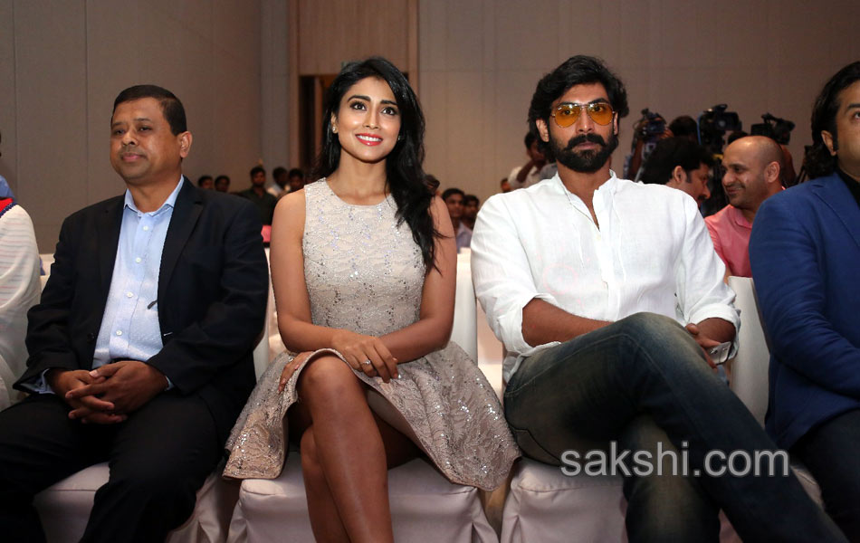 SIIMA Awards Curtain Raiser Press Meet - Sakshi8