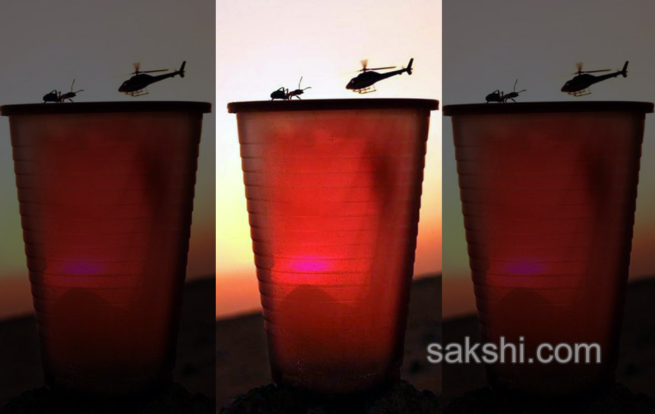 photo illusion5